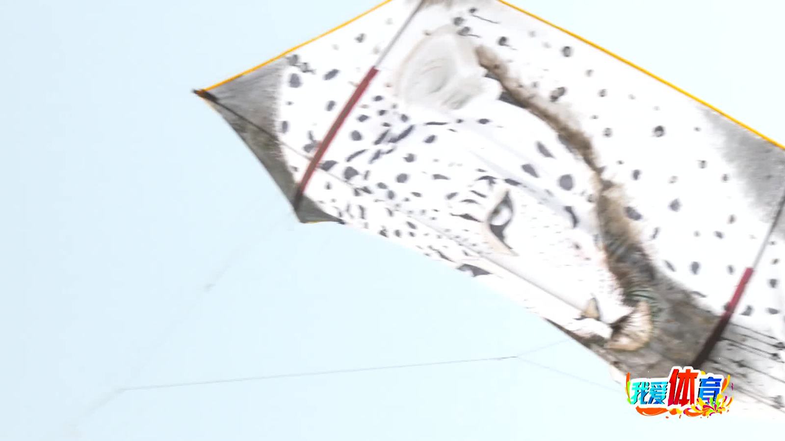 我爱体育20260317