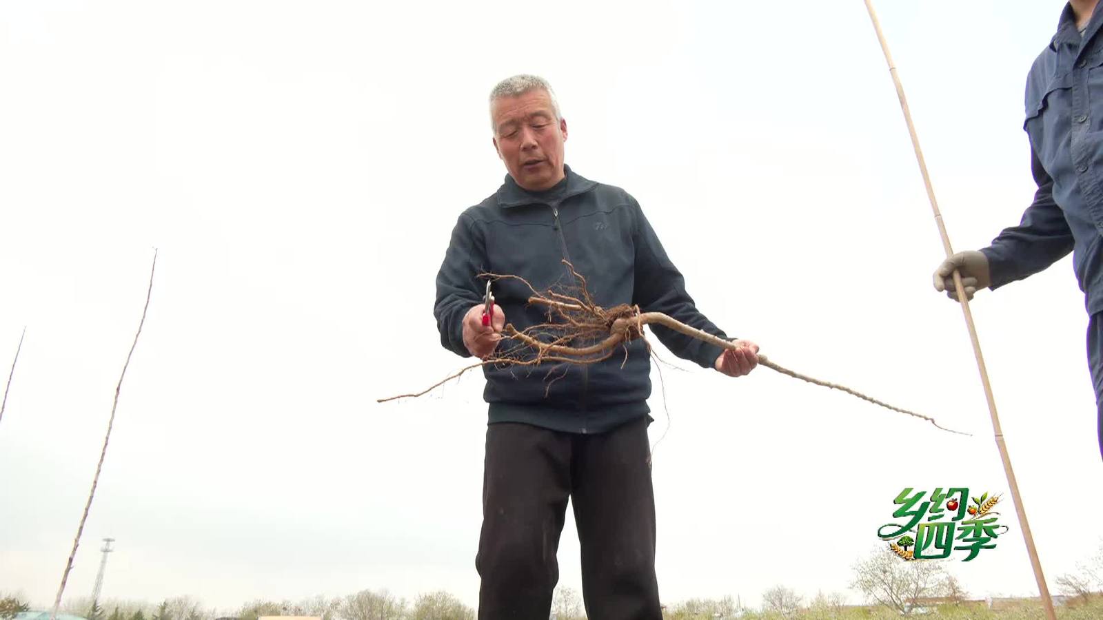 乡约四季20260416