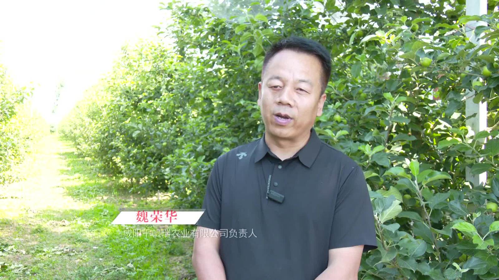 关注咸阳20260624