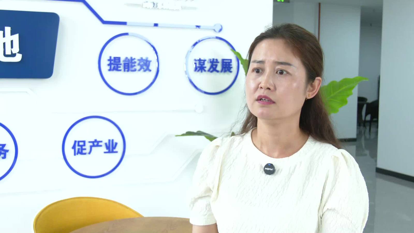 关注咸阳丨武功电商如何从“被动接哨”到“主动赋能”